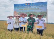 Hadapi Perubahan Iklim, Distanak Pemprov Sultra Bersama Dinas Pertanian se-Sultra Terus Dampingi Petani