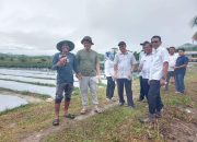 Bupati Koltim Tegaskan Distribusi Pupuk Subsidi Harus Tepat Sasaran