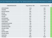Pemprov Sultra Siapkan Langkah Penanggulangan TBC Sesuai Arahan Mendagri
