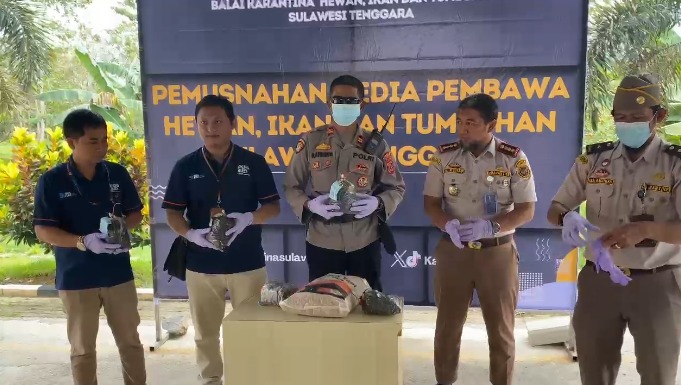 IMG 20241008 WA0011