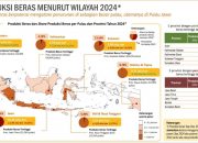 Meski Elnino, Sultra Peringkat Ke-4 Produksi Beras Tertinggi Nasional 2024