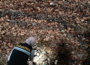Karantina Sultra Jaga Keamanan Pangan dan Peningkatan Perekonomi Masyarakat Sultra