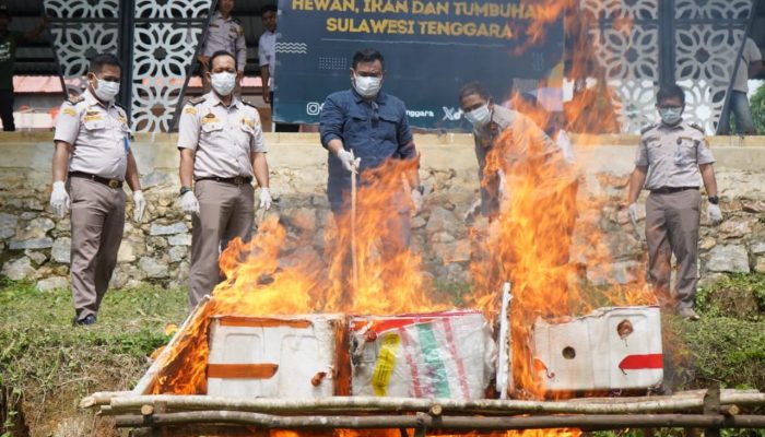Sosis Babi dan Telur Bebek Tanpa Dokumen Karantina Dimusnahkan