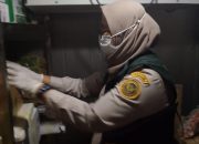 Cegah Penyakit Berbahaya Pada Hewan  Karantina Sultra Lakukan Pemeriksaan ke Kapal Asing