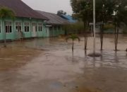 Banjir Landa Sampara, Diduga akibat Pembukaan Perkebunan Sawit