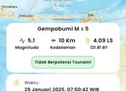 6 Hari Sudah Gempa Terus Guncang Koltim dan Sekitarnya, Apa Penyebabnya?