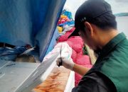Karantina Sultra Tahan dan Tolak 600 Kg Daging Ayam Tanpa Dokumen Karantina