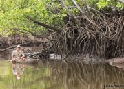 Menyelami Kehidupan Harmonis Nelayan Lanowulu dengan Hutan Mangrove Rawa Aopa