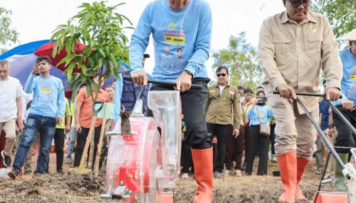 Sultra Gebrak Ketahanan Pangan: Gubernur ASR Luncurkan Agroforestry di Konawe!