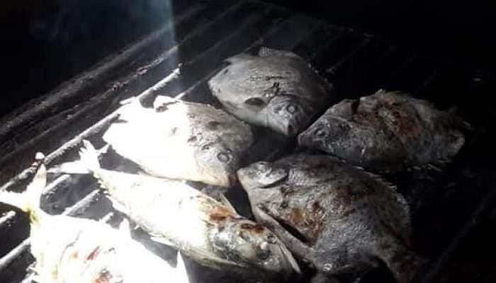 Aroma Menggoda dari Dapur Anda: Resep Rahasia Bumbu Oles Ikan Bakar yang Bikin Nagih