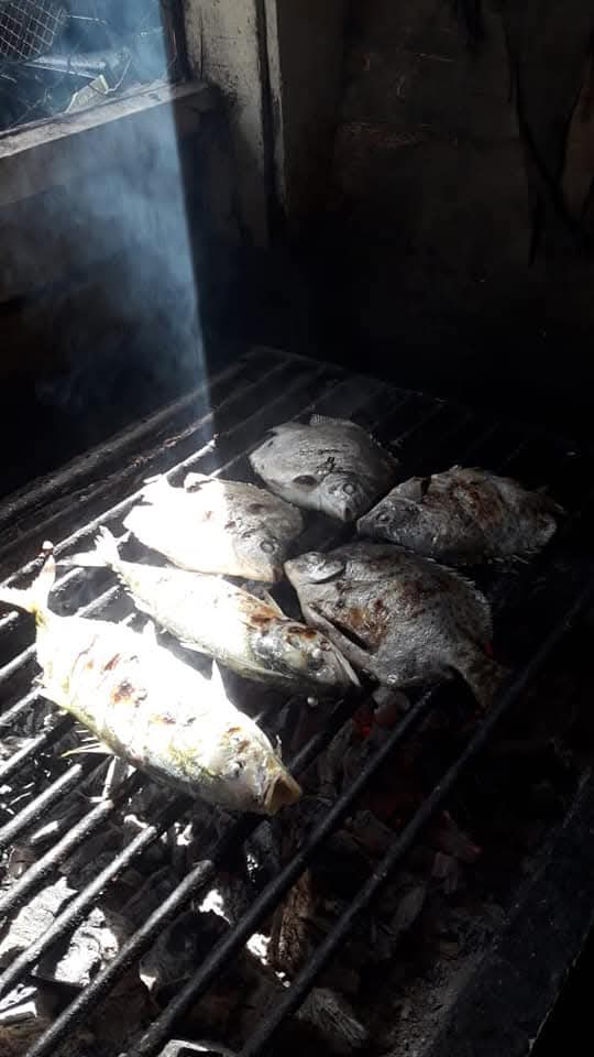 FB IMG 1746015485113