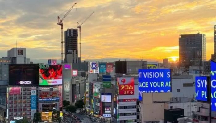Negeri Sakura Tak Lekang di Hati: Mengapa Jepang Masih Jadi Magnet Karier bagi Talenta Muda Indonesia?