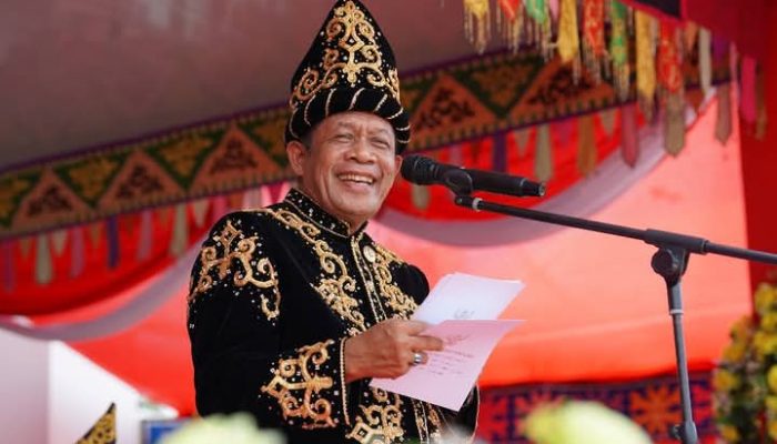 HUT ke-22 Konsel, Pemprov Sultra Apresiasi Kemajuan Daerah dan Komitmen Program SETARA
