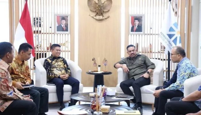 Bupati Konsel Bertemu Langsung Menteri UMKM RI, Bahas Pengembangan Potensi Lokal!