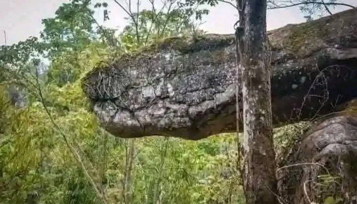 Goa Nako: Ketika Alam Memahat Keajaiban Ular Batu di Jantung Thailand