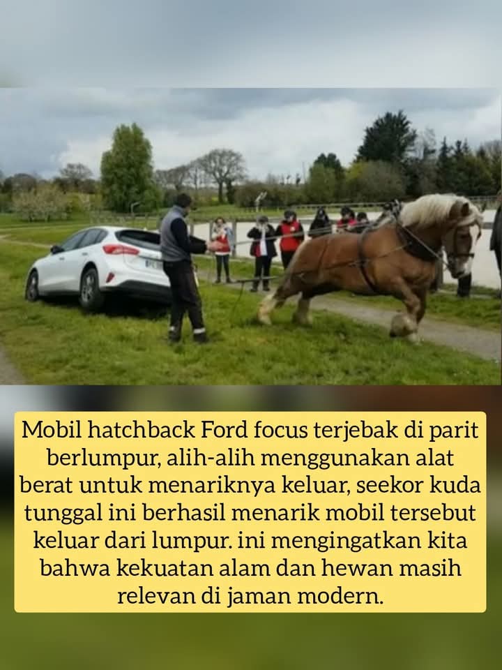 FB IMG 1747004424555